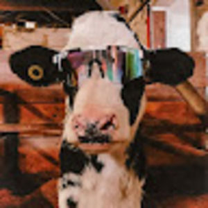 Meet your Posher, Hattie